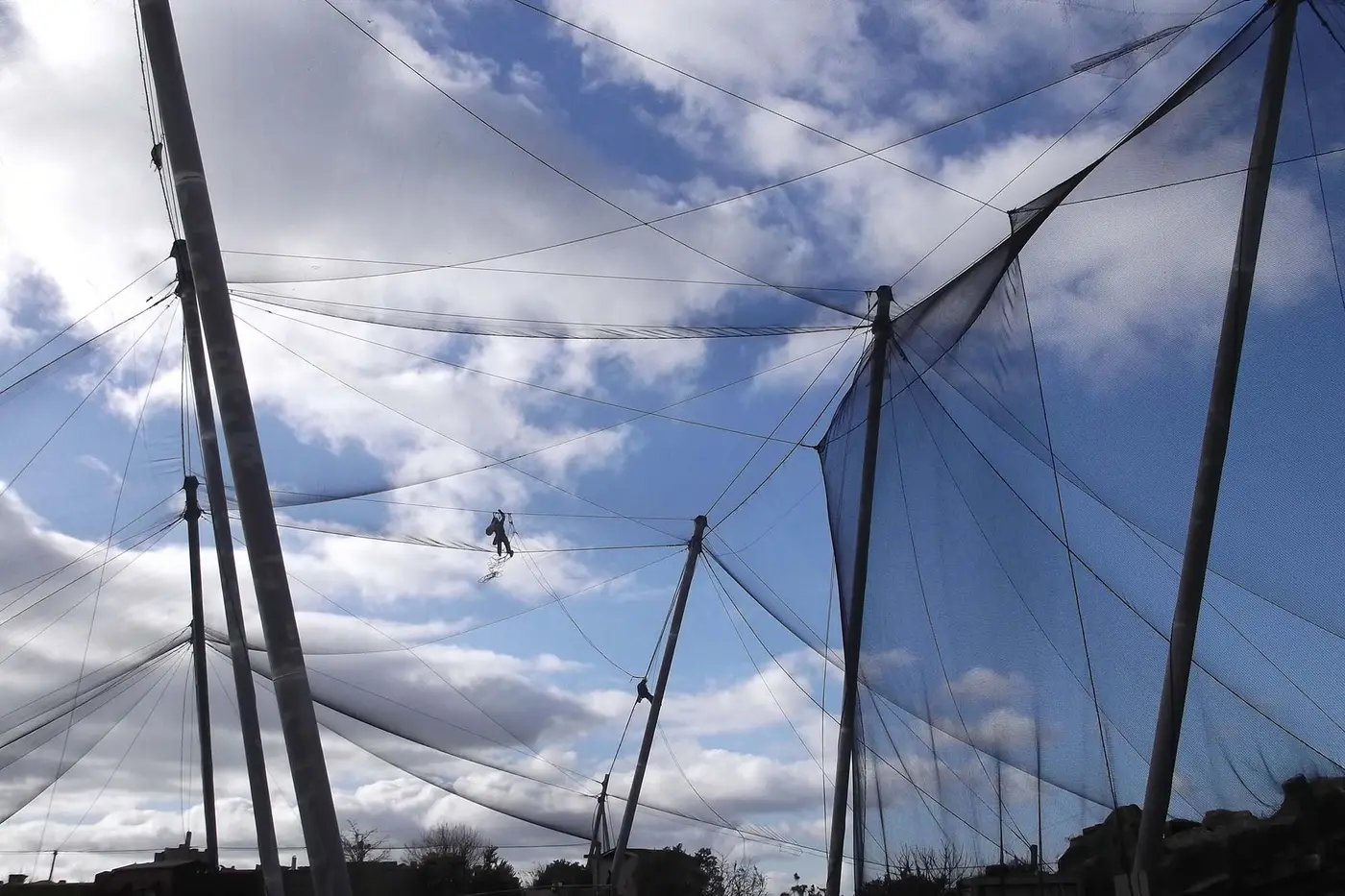 Stainless steel zoo structure inspection in progress