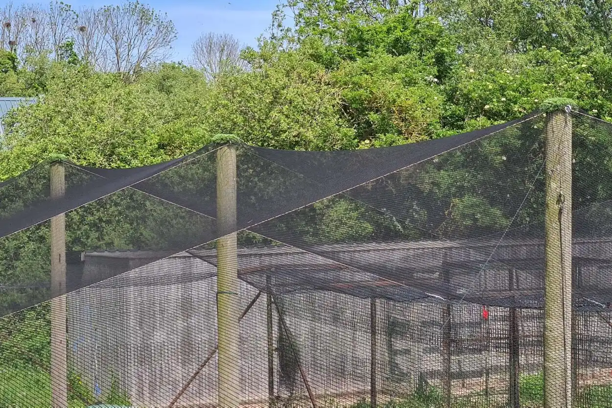 Stainless steel zoo structure inspection in progress
